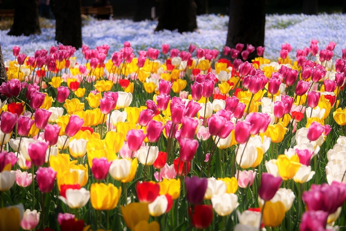 f:id:hirochanna:20220412003206j:plain