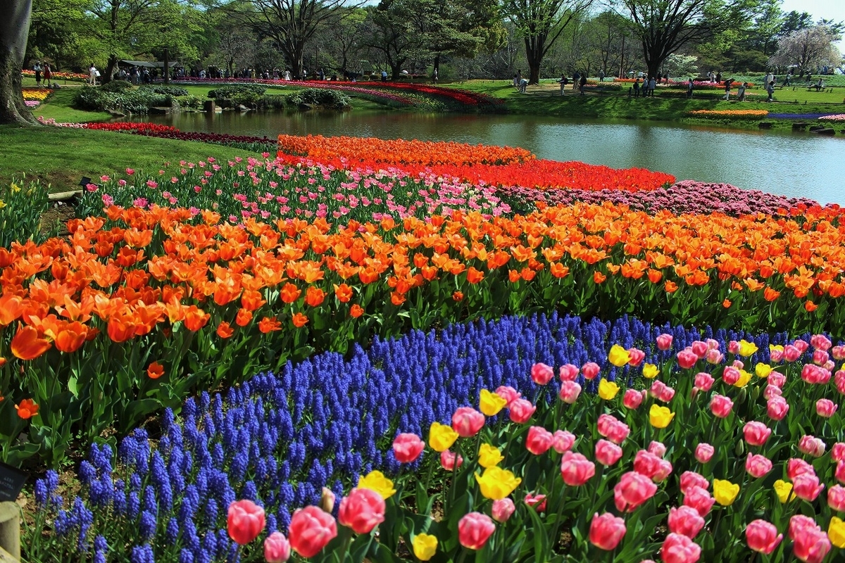 f:id:hirochanna:20220413001044j:plain