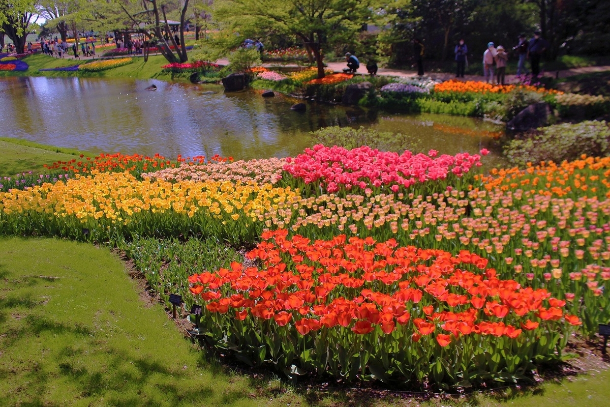 f:id:hirochanna:20220413001151j:plain