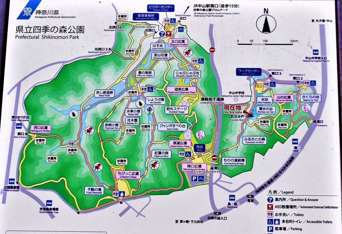 連休疲れなんてないよなぁ／神奈川県立四季の森公園にて - もっと
