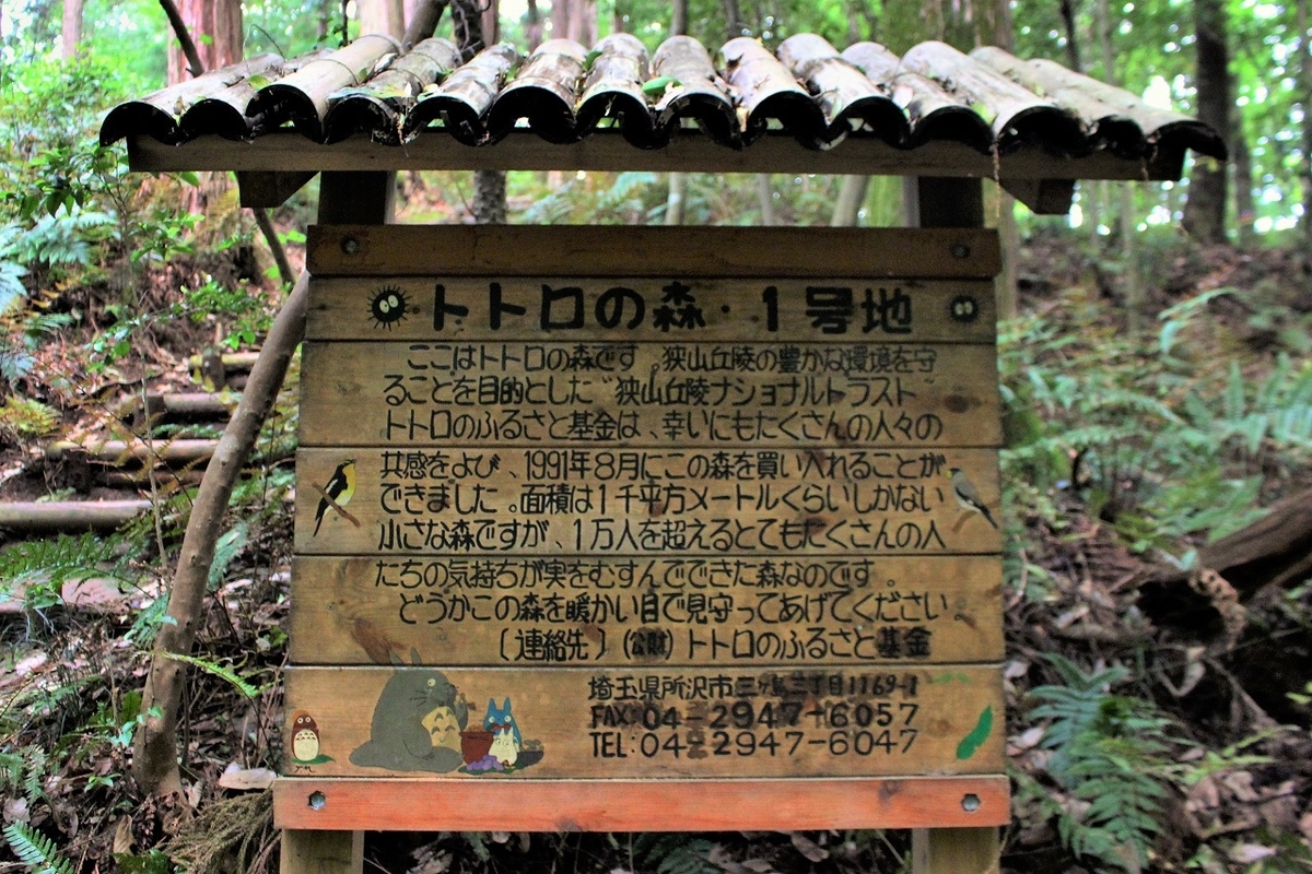 トトロの森は守られているんだねって 埼玉狭山丘陵生きものふれあいの里にて もっともっとワクワクの君へ