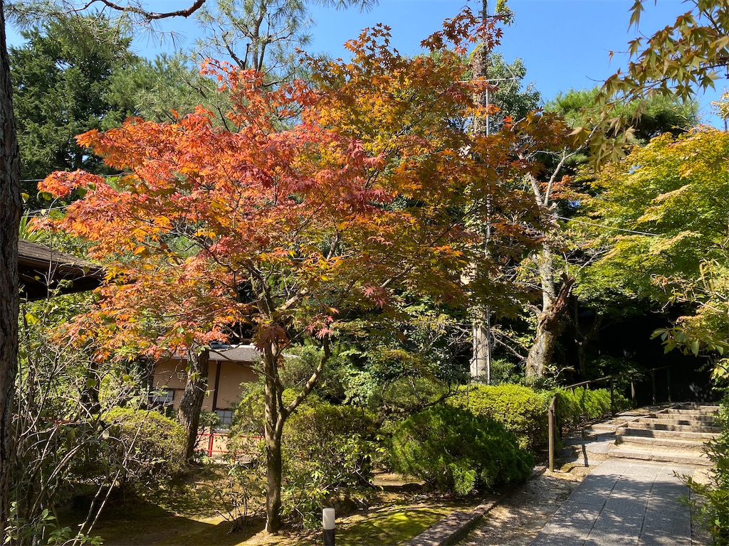 f:id:hirodan:20221002212220j:image f:id:hirodan:20221002212220j:image