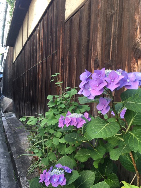 f:id:hiroedu:20200726222105j:plain