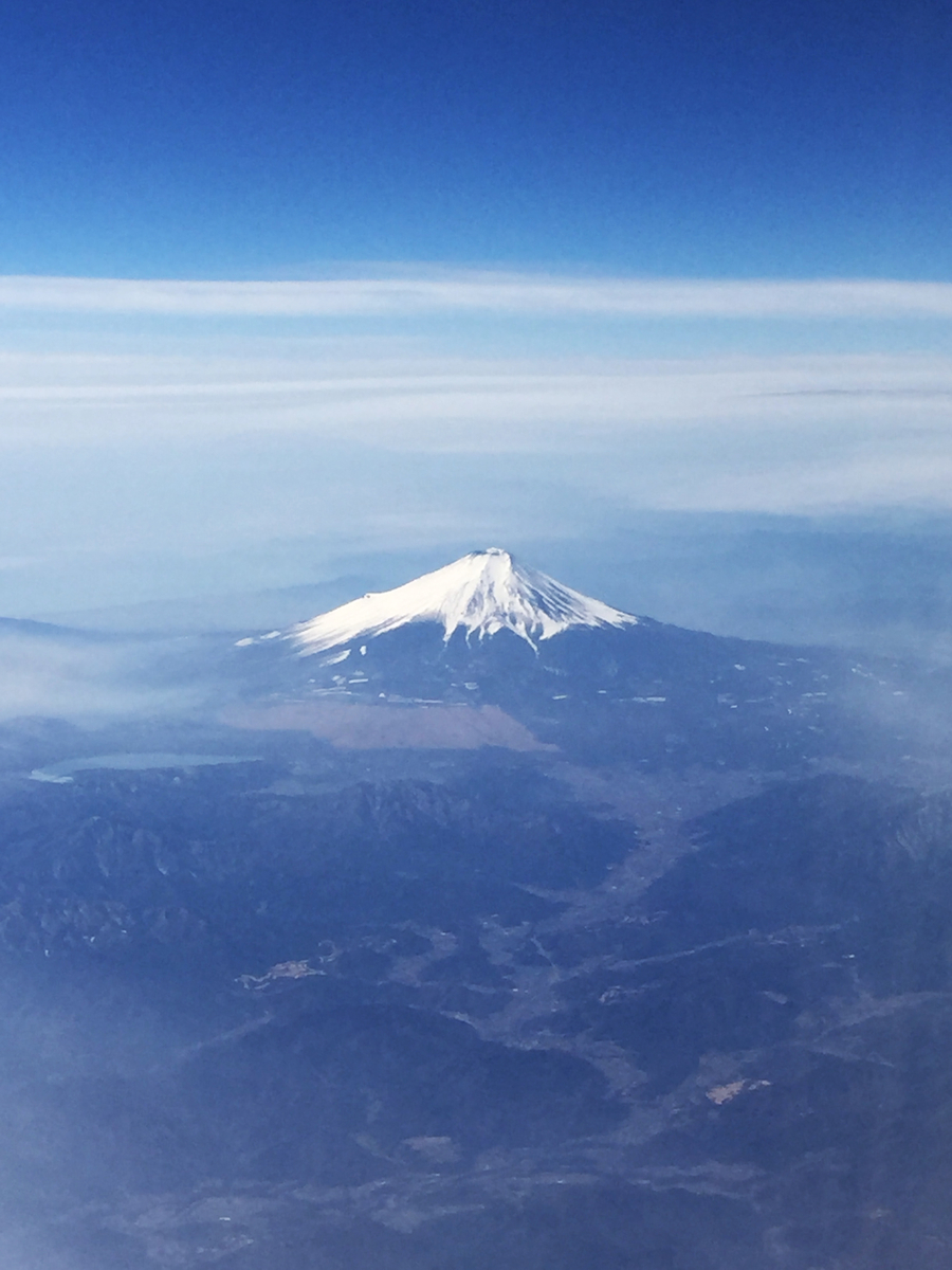 f:id:hiroegg:20210125190825j:plain