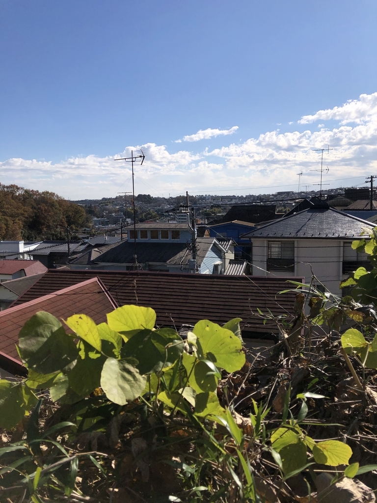 「好き! すき!! 魔女先生」で よく映る風景