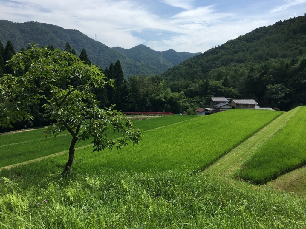 f:id:hiroga_cc:20180713085132j:plain f:id:hiroga_cc:20180713085132j:plain