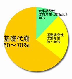 f:id:hirogontan:20210615153340p:plain