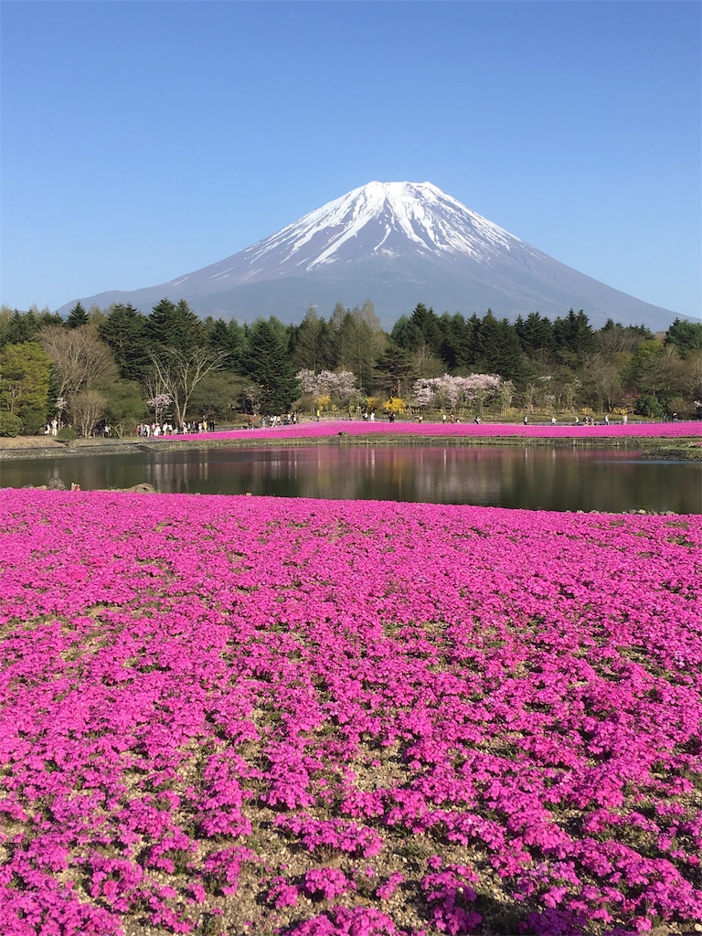 f:id:hirogy:20170508212539j:image f:id:hirogy:20170508212539j:image