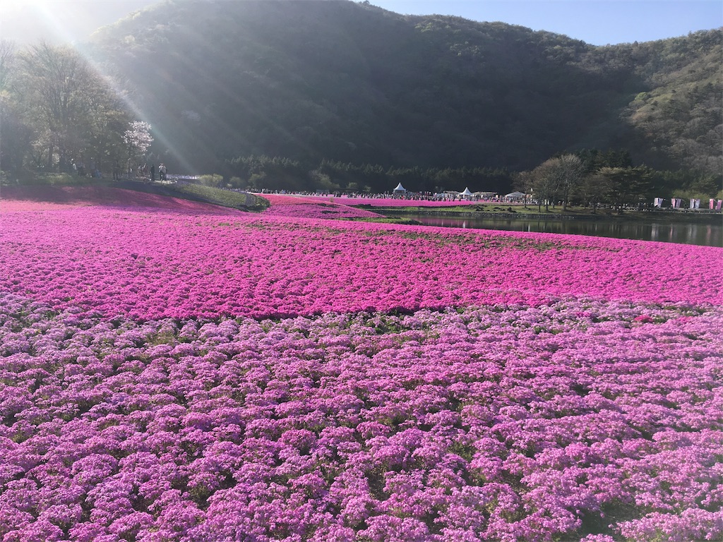 f:id:hirogy:20170508212745j:image f:id:hirogy:20170508212745j:image