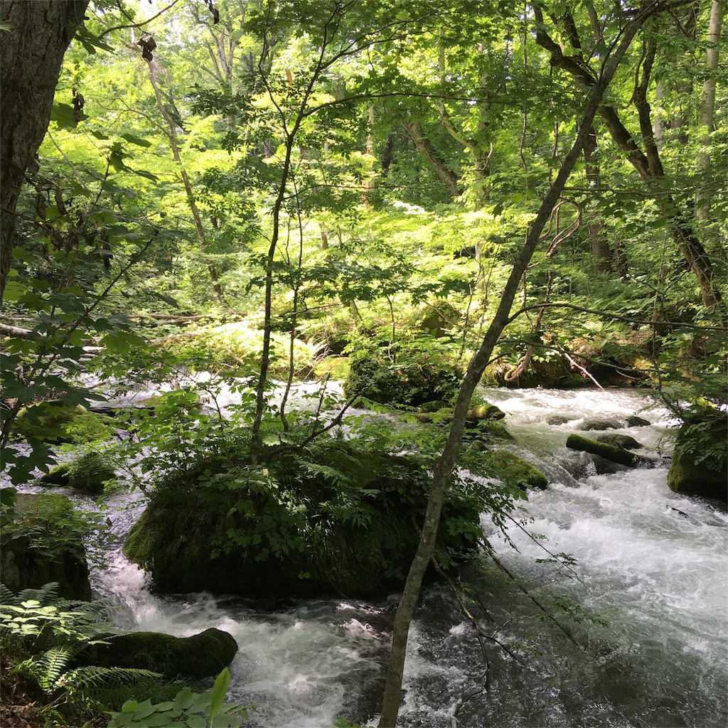 f:id:hirogy:20171017204137j:image f:id:hirogy:20171017204137j:image
