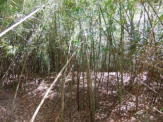 20120214220320