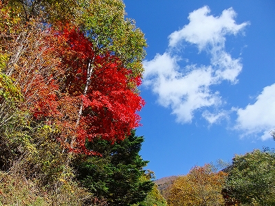 f:id:hirohiro:20131028130217j:image f:id:hirohiro:20131028130217j:image