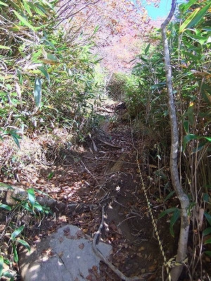 f:id:hirohiro:20131028130509j:image f:id:hirohiro:20131028130509j:image