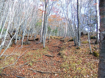 f:id:hirohiro:20131028130510j:image f:id:hirohiro:20131028130510j:image