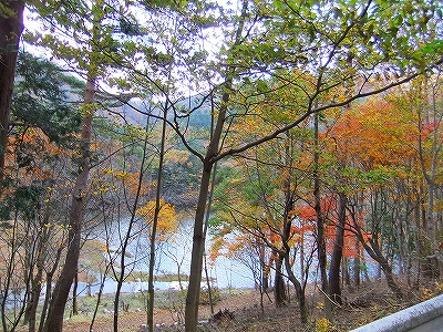 f:id:hirohiro:20131104184228j:image f:id:hirohiro:20131104184228j:image