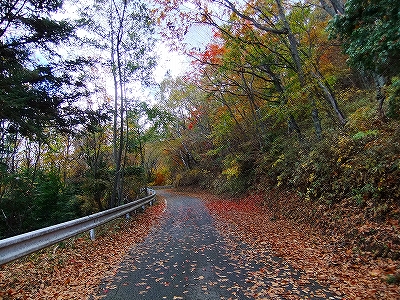 f:id:hirohiro:20131104184229j:image f:id:hirohiro:20131104184229j:image