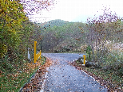 f:id:hirohiro:20131104192358j:image f:id:hirohiro:20131104192358j:image