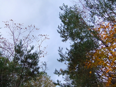 f:id:hirohiro:20131104192827j:image f:id:hirohiro:20131104192827j:image