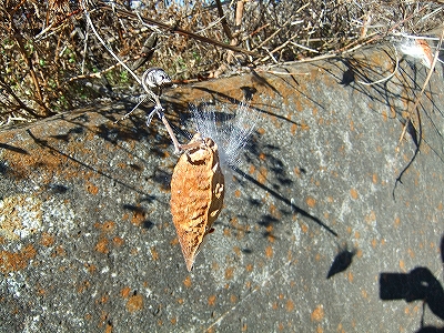 f:id:hirohiro:20131230183445j:image f:id:hirohiro:20131230183445j:image
