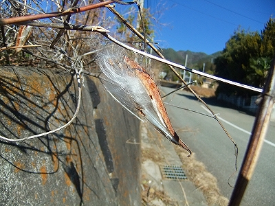 f:id:hirohiro:20131230183446j:image f:id:hirohiro:20131230183446j:image