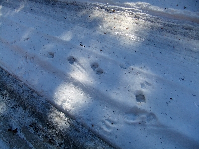 f:id:hirohiro:20131230183758j:image f:id:hirohiro:20131230183758j:image