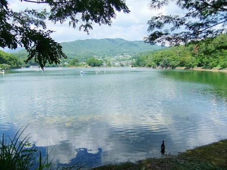 20140728170215