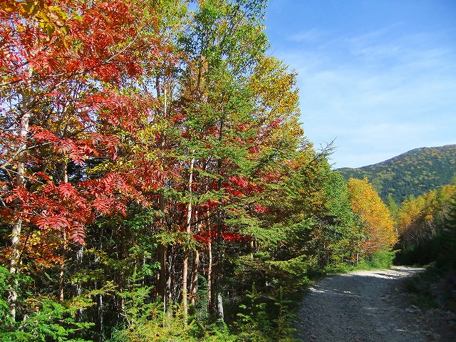 f:id:hirohiro:20171001203219j:plain f:id:hirohiro:20171001203219j:plain