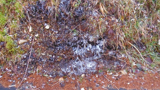 f:id:hirohiro:20191204185453j:plain f:id:hirohiro:20191204185453j:plain