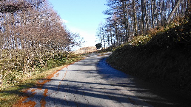 f:id:hirohiro:20191204185458j:plain f:id:hirohiro:20191204185458j:plain