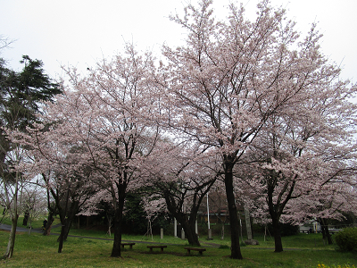 f:id:hiroiaozora:20160410001636j:plain f:id:hiroiaozora:20160410001636j:plain