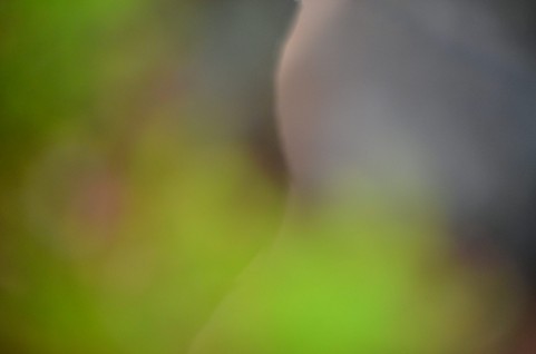 f:id:hiroiaozora:20160722024227j:plain f:id:hiroiaozora:20160722024227j:plain