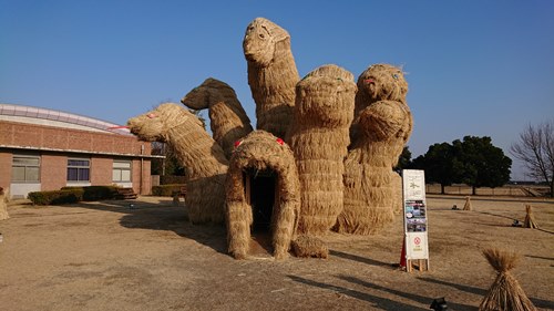 イメージ 5