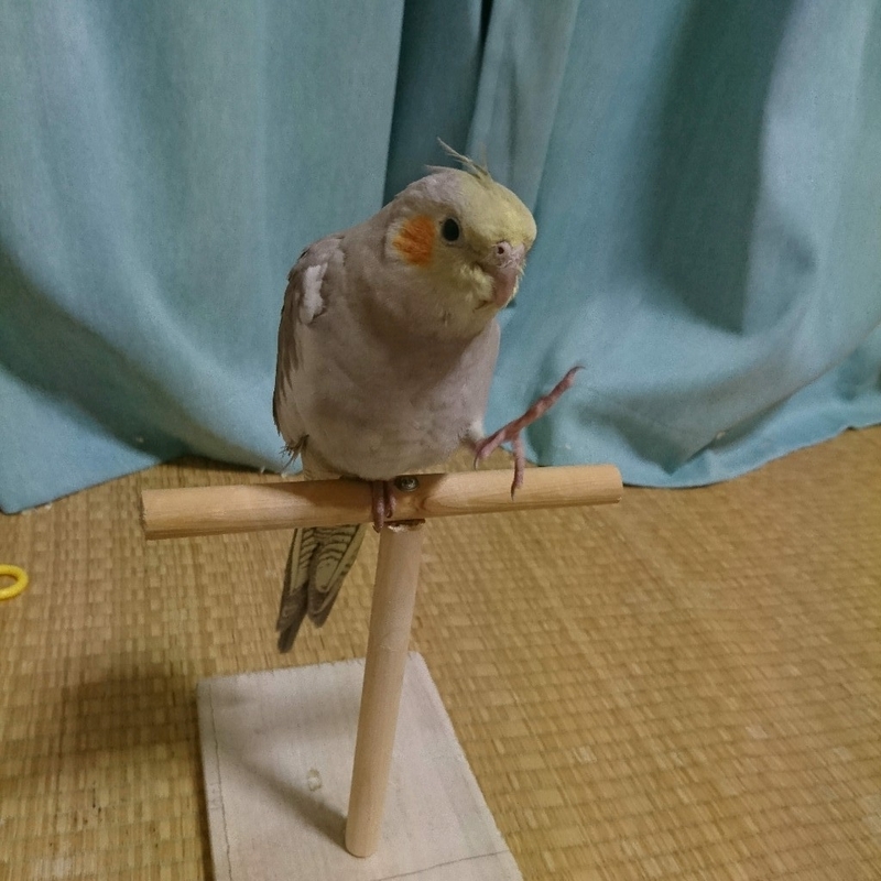 イメージ 1