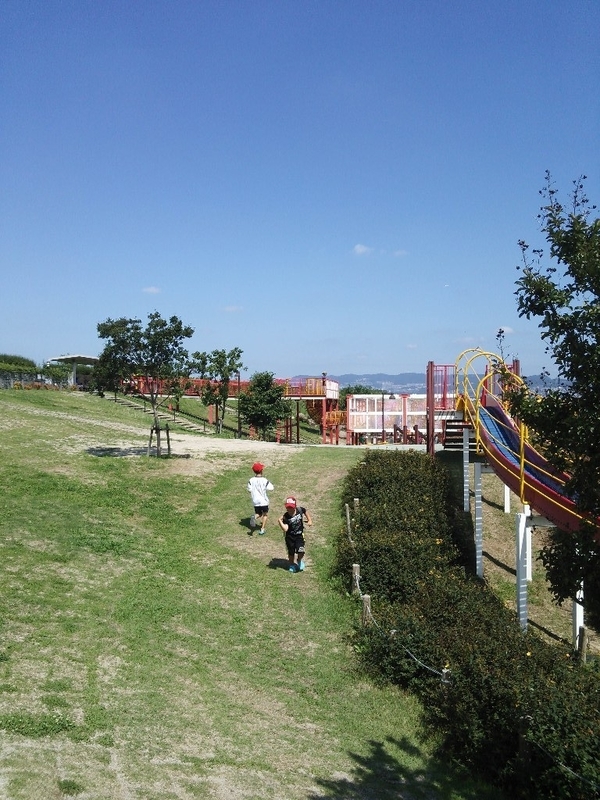 イメージ 2