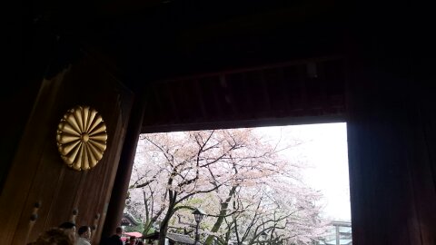 f:id:hiroki-is:20170322181220j:plain f:id:hiroki-is:20170322181220j:plain