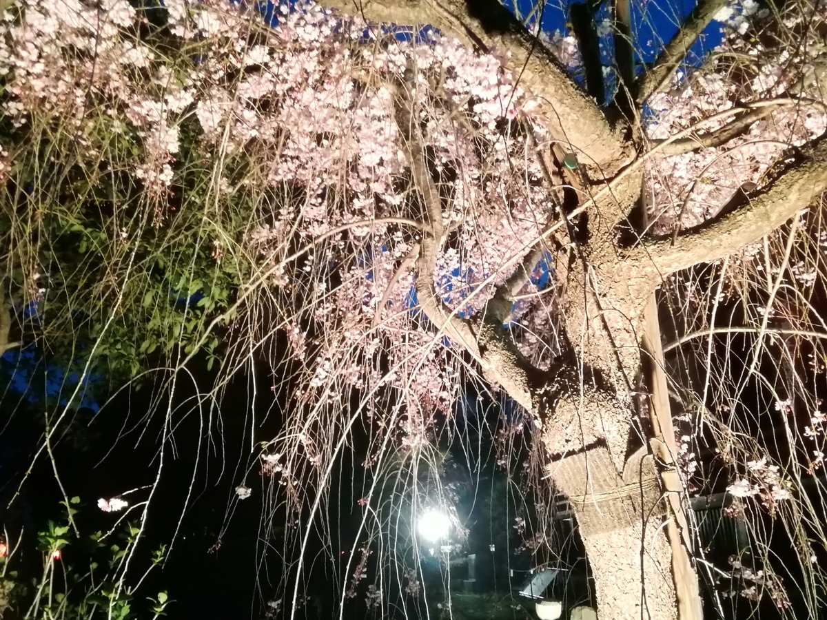 f:id:hiroki-is:20190408011927j:plain f:id:hiroki-is:20190408011927j:plain
