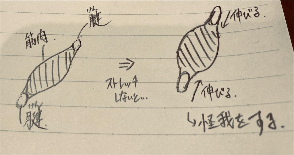 f:id:hiroki-mkun:20210106165229j:image