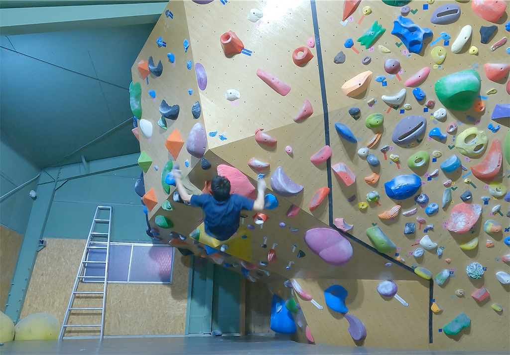 f:id:hiroki-mkun:20210217200451p:image