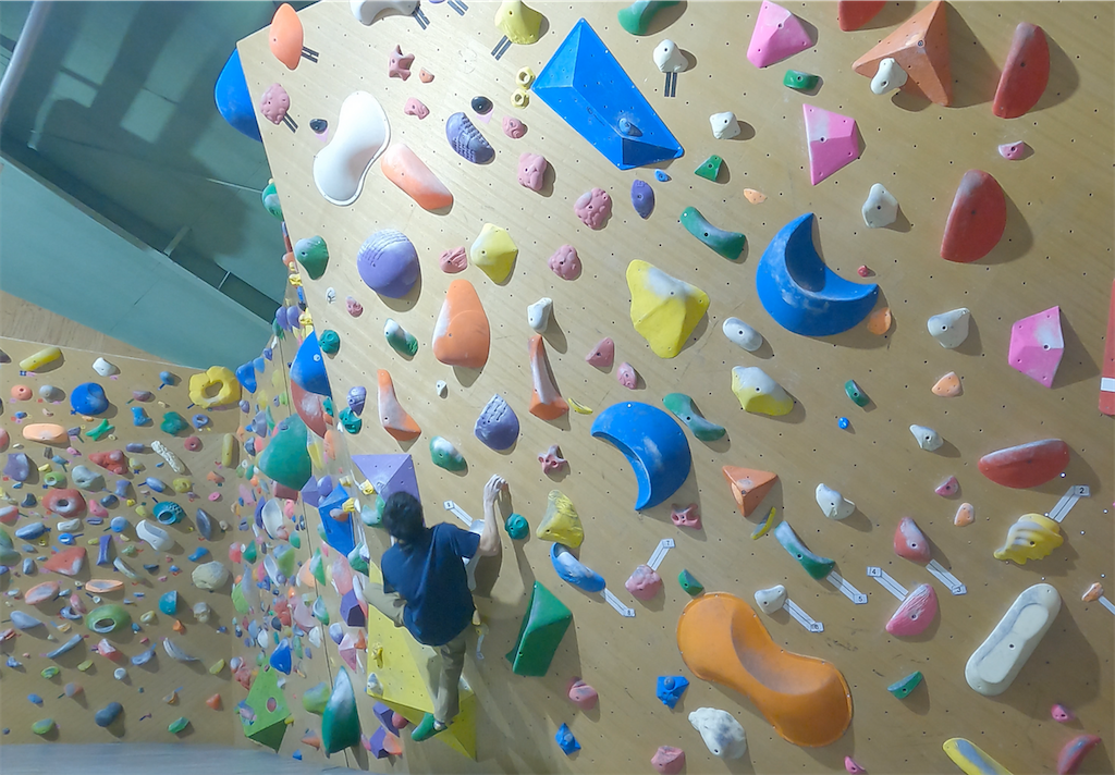 f:id:hiroki-mkun:20210217201742p:image