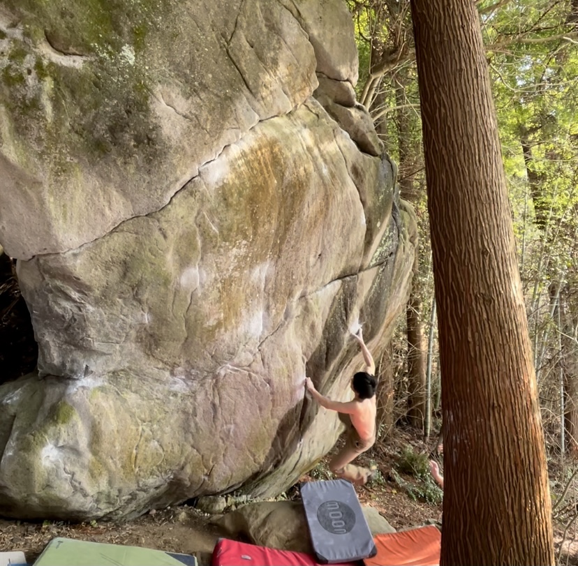 f:id:hiroki-mkun:20210315215122j:plain