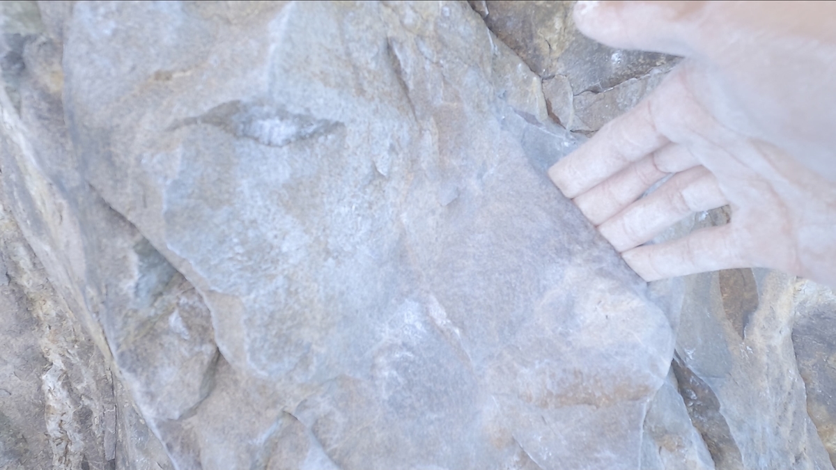 f:id:hiroki-mkun:20210530190725j:plain