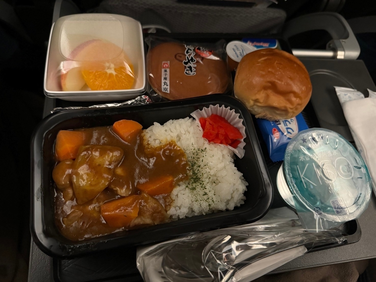 搭乗記】シンガポール航空で羽田からバリへ！SQ635 & SQ8600