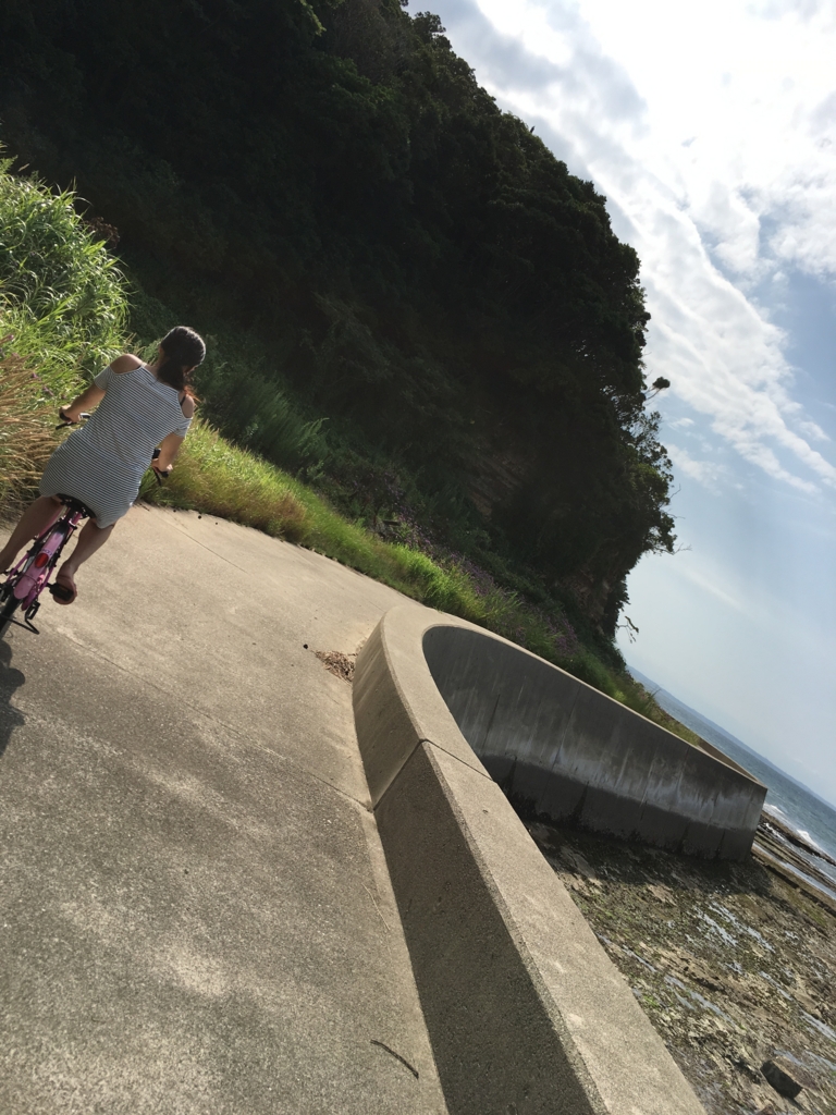 f:id:hiroki0105:20170326082034j:plain