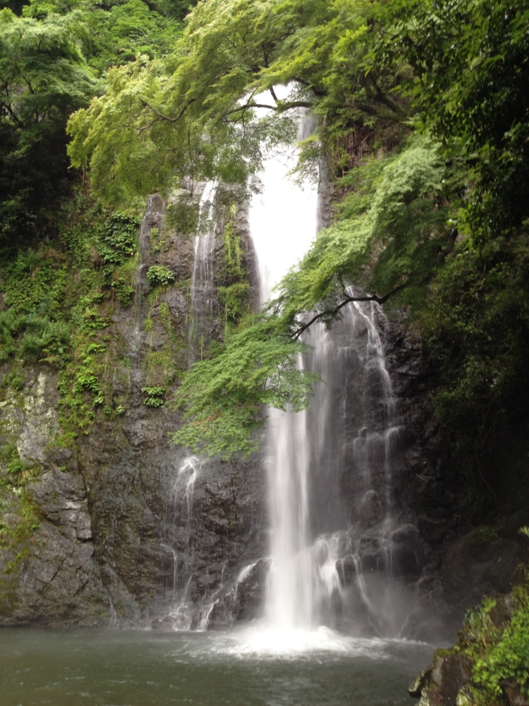 f:id:hiroki_hasegawa:20160701060115j:plain f:id:hiroki_hasegawa:20160701060115j:plain