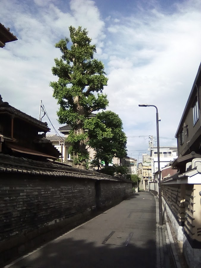 f:id:hiroki_hayashi:20210504190316p:plain