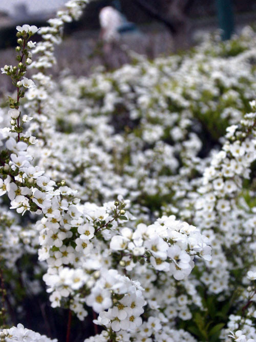 f:id:hirokichinews23:20050331200514j:image f:id:hirokichinews23:20050331200514j:image