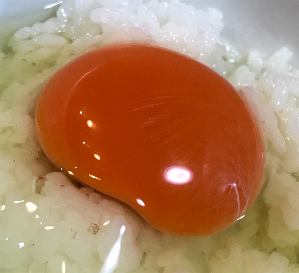 f:id:hirokikawakami:20191008081426j:image