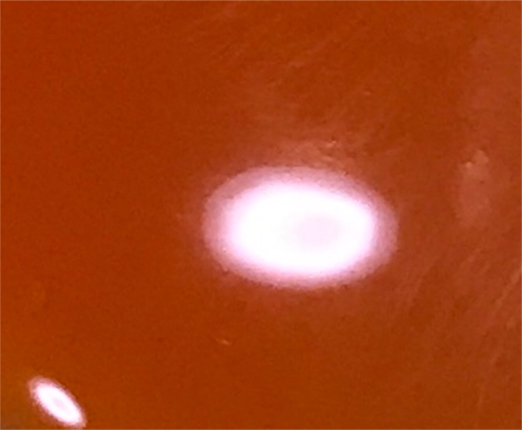 f:id:hirokikawakami:20191008081500j:image