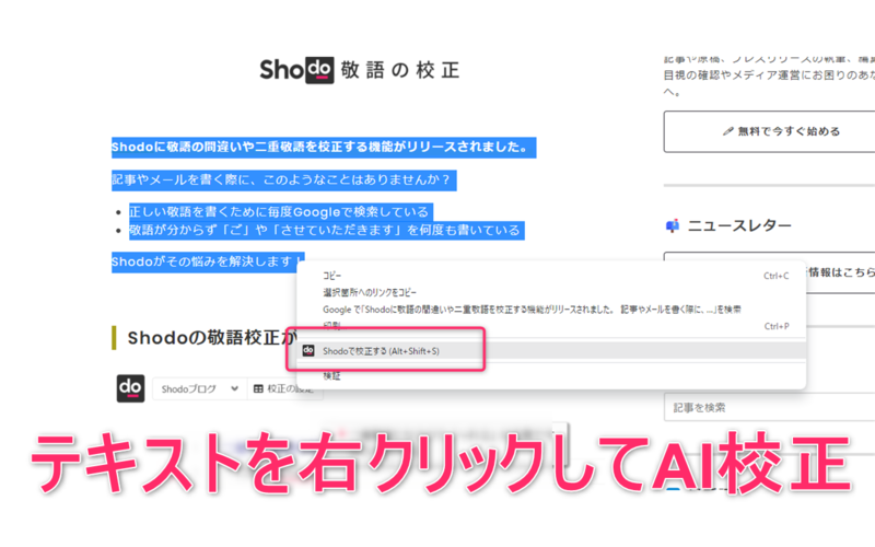 Webページのテキストを校正