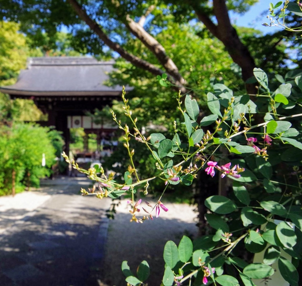 f:id:hiroking1:20171003005413j:plain f:id:hiroking1:20171003005413j:plain